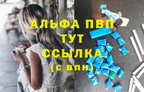 ПСИЛОЦИБИНОВЫЕ ГРИБЫ Вязьма