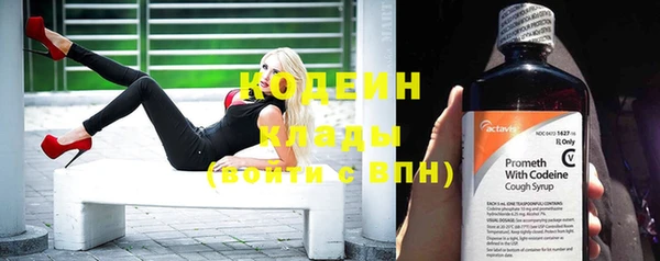 ПСИЛОЦИБИНОВЫЕ ГРИБЫ Вязьма