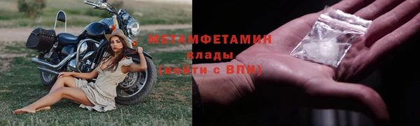 ПСИЛОЦИБИНОВЫЕ ГРИБЫ Вязьма