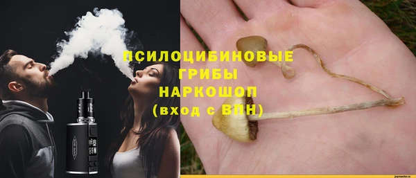 ПСИЛОЦИБИНОВЫЕ ГРИБЫ Вязьма