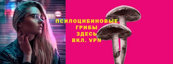 мдпв Одинцово