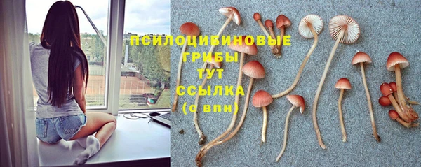 MESCALINE Вязники