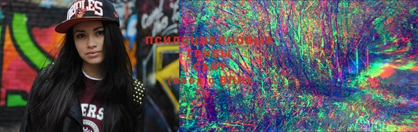 MESCALINE Вязники