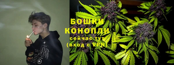 ПСИЛОЦИБИНОВЫЕ ГРИБЫ Вязьма