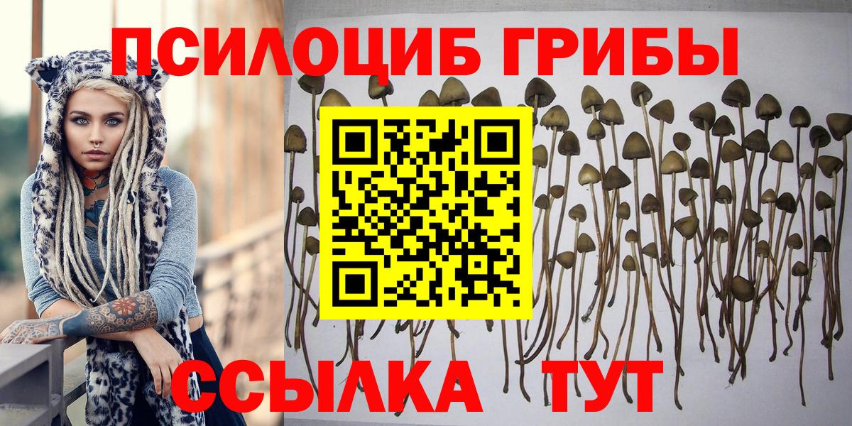 Дюртюли  Галлюциногенные грибы мухоморы  Вход с VPN 