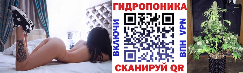 мориарти Telegram  Дюртюли  Марихуана марихуана 